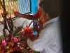 IMG-20250130-WA0038