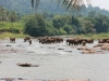 sri-lanka-089